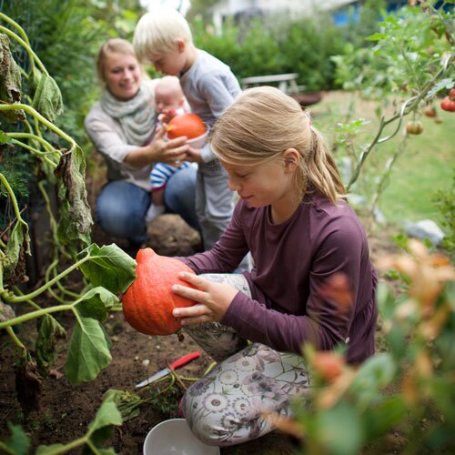 Eine Mutter und ihre Kinder ernten gemeinsam Gemüse aus ihrem Garten.
