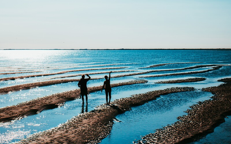 Wadden Sea in Denmark