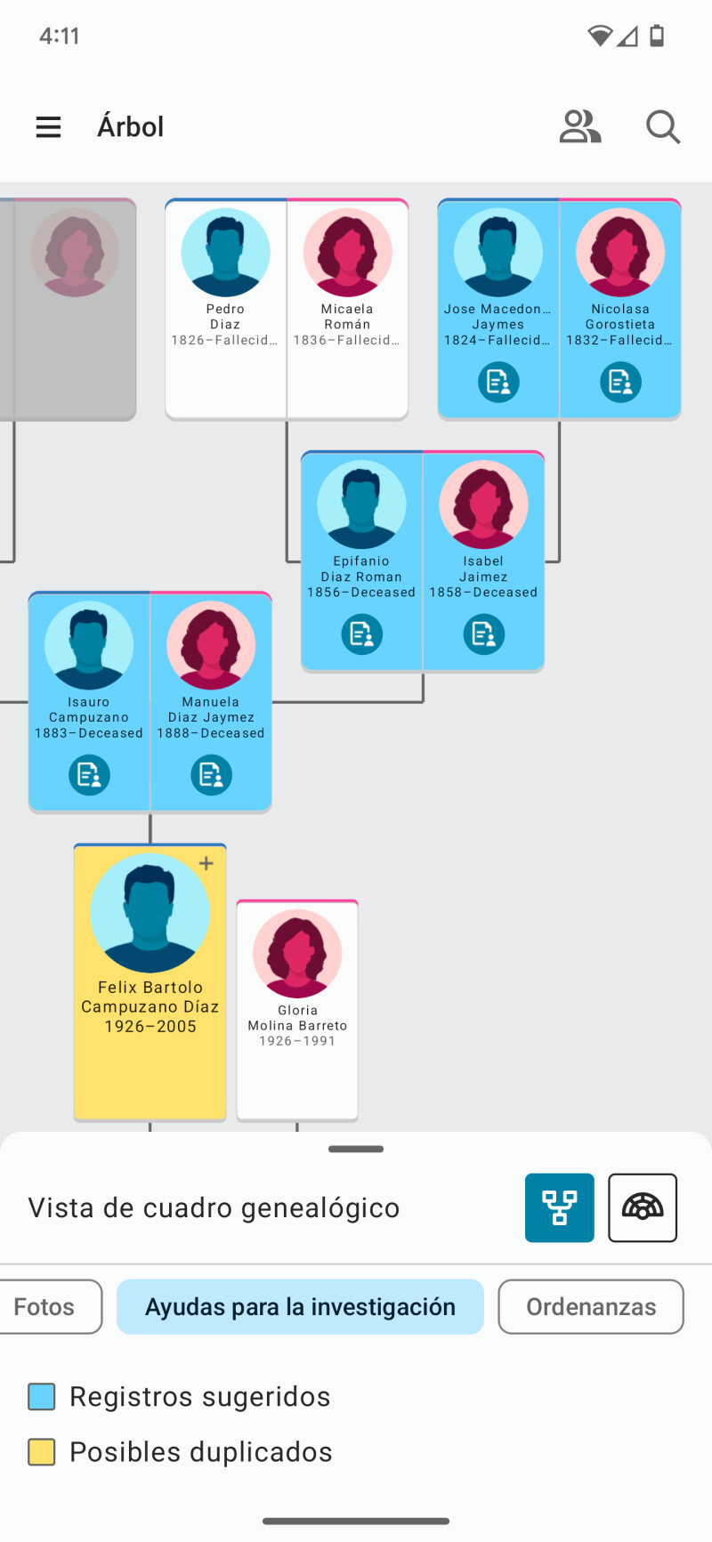 Muestre sugerencias de registro y otros indicadores en la vista de cuadro genealógico